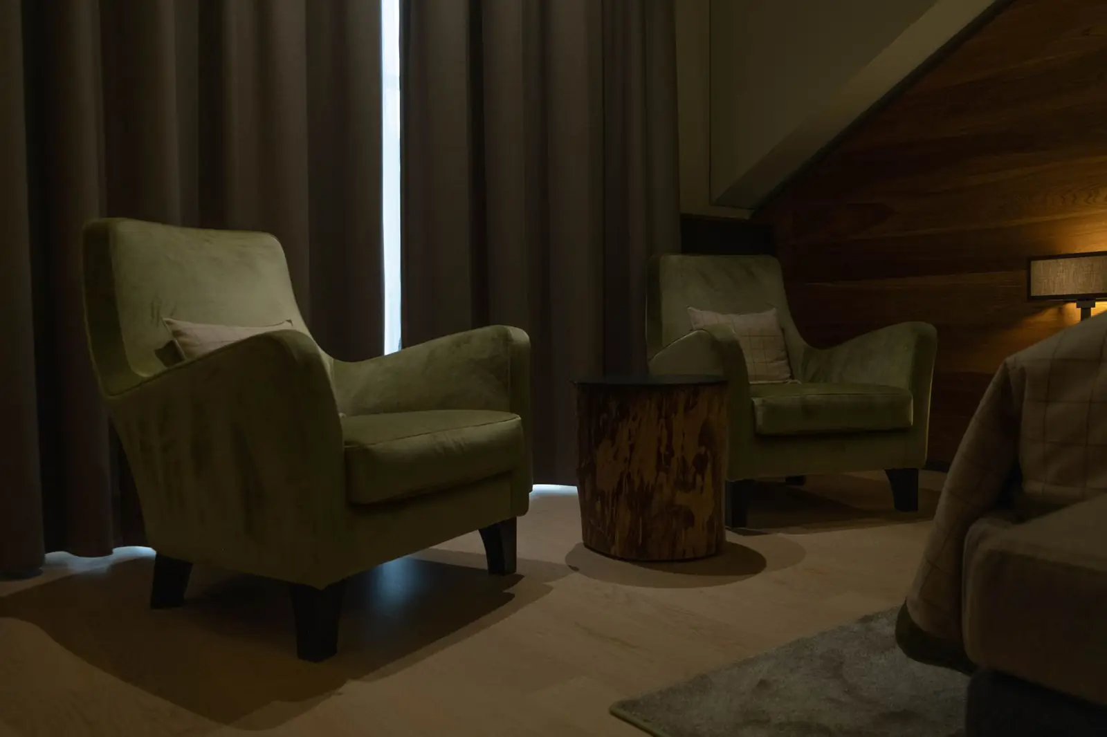 Torvellian Luxe Haven interior detail